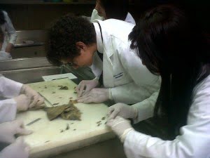 Medical_Students
