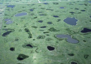 Prairie_Pothole_Wetlands
