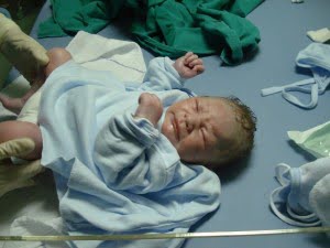 newborn
