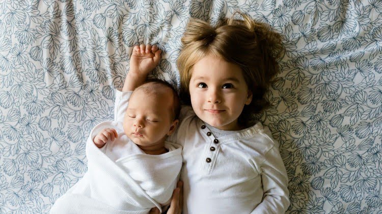 brothers-457237_1920