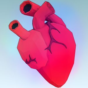 heart-1164567_1920