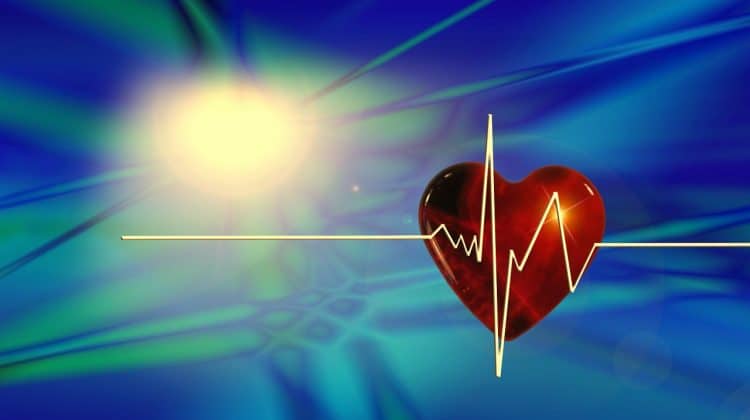 heart-66888_1280