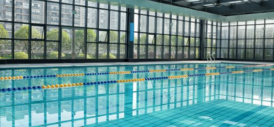 swimming-pool-2704420_1920