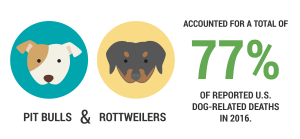 BBG_infograph_jl02