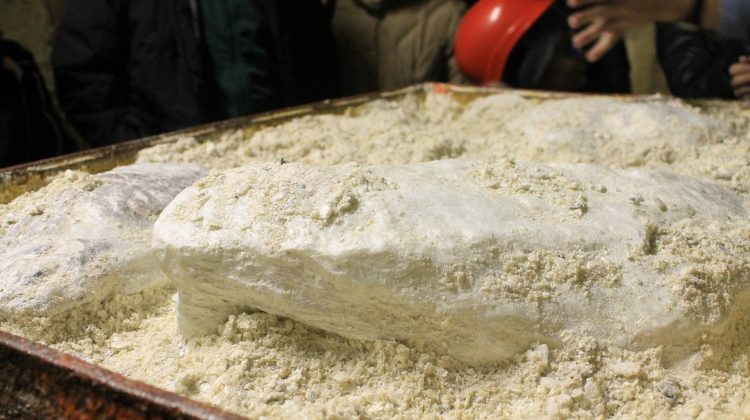 Woman sues Johnson & Johnson over alleged talcum powder cancer risk