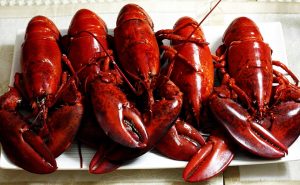 Illinois man accuses Red Lobster restaurant of unsafe premises
