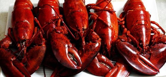 Illinois man accuses Red Lobster restaurant of unsafe premises