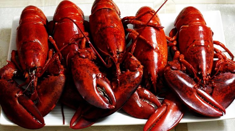 Illinois man accuses Red Lobster restaurant of unsafe premises