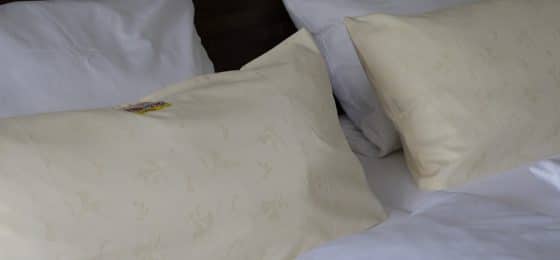 premises liability attorneys