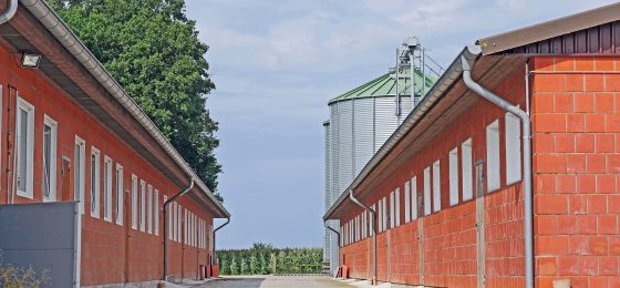 workers' compensation lawyer