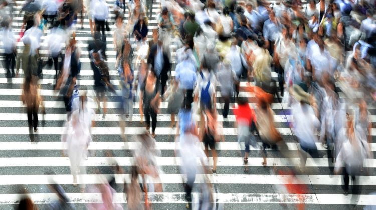 pedestrian accident attorney