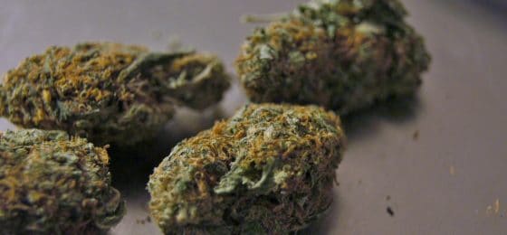 fatal car accident lawyer