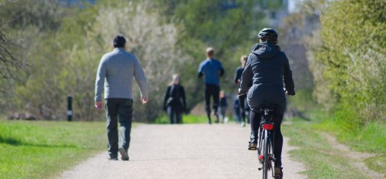 bicycle accident lawyer