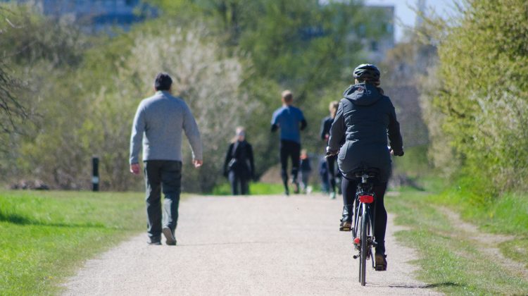 bicycle accident lawyer