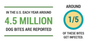 BBG_infographic_jl05
