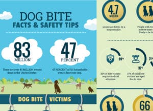 Dog Bite Facts - Infographic