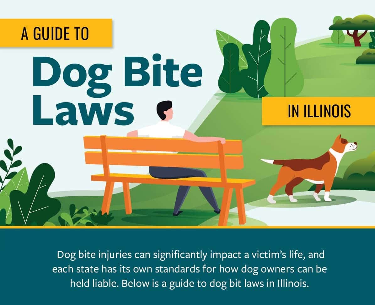 A Guide to Dog Bite Laws in Illinois