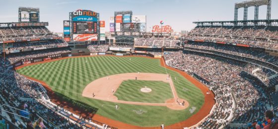 dog bite injury lawyer