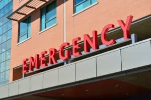 Here, we provide some guidance on seeking medical treatment if you are bitten by a dog in Chicago or elsewhere in Illinois