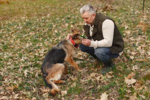 It's crucial to take proactive steps to protect your elderly loved ones from dog attacks
